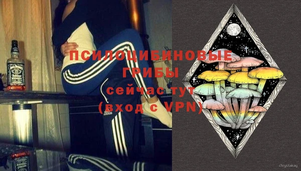 МДПВ Алексин