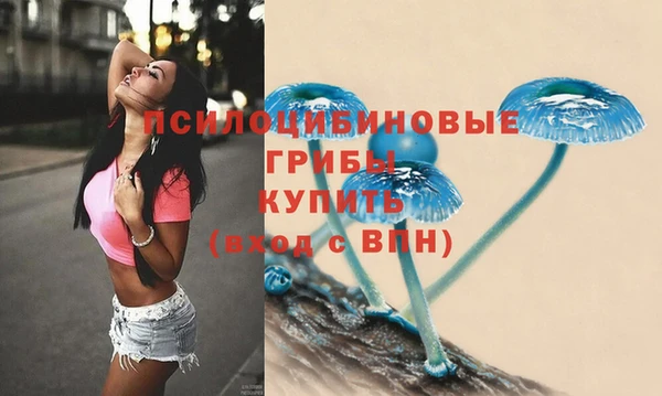 спиды Алзамай