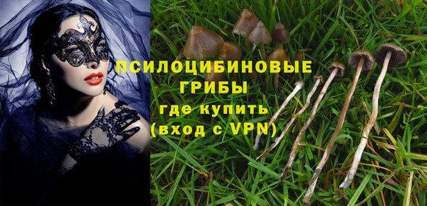 спиды Алзамай