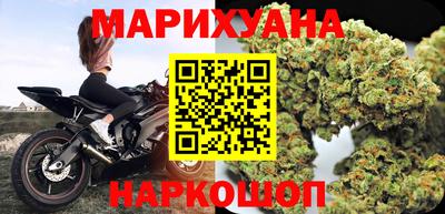 Альфа ПВП Бийск