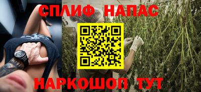 Альфа ПВП Бийск