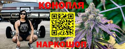 Альфа ПВП Бийск