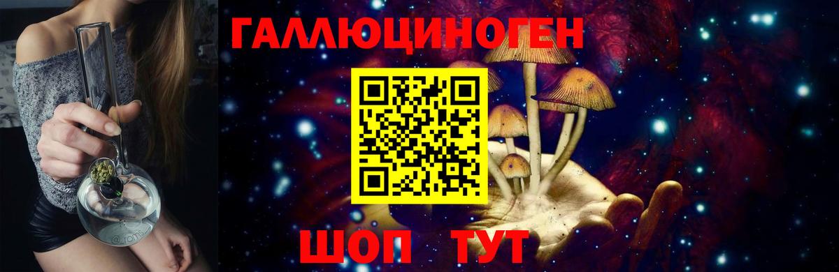Псилоцибиновые грибы мухоморы Богданович