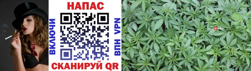 Бошки Шишки White Widow  Богданович 